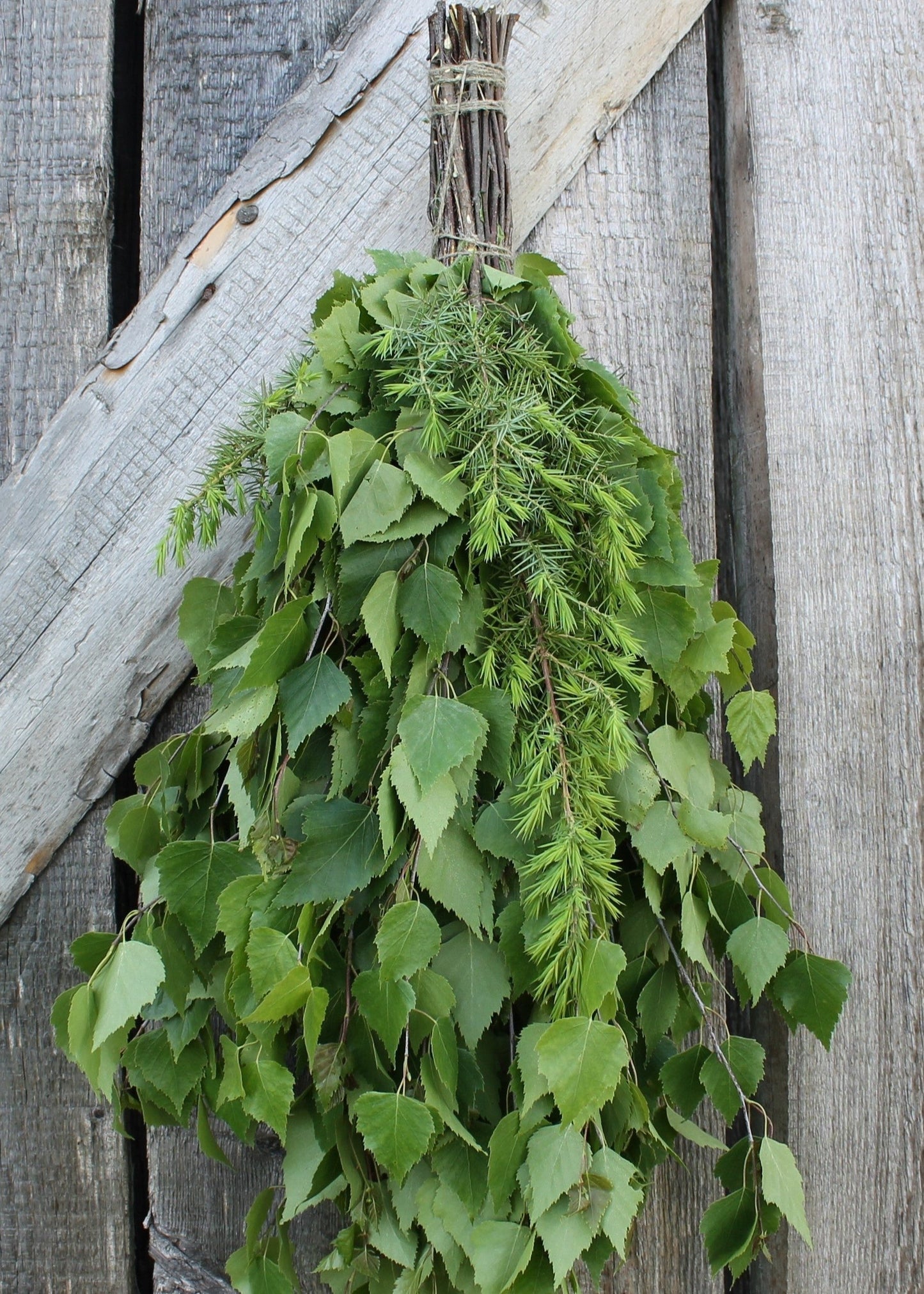 Birch-Juniper Whisk